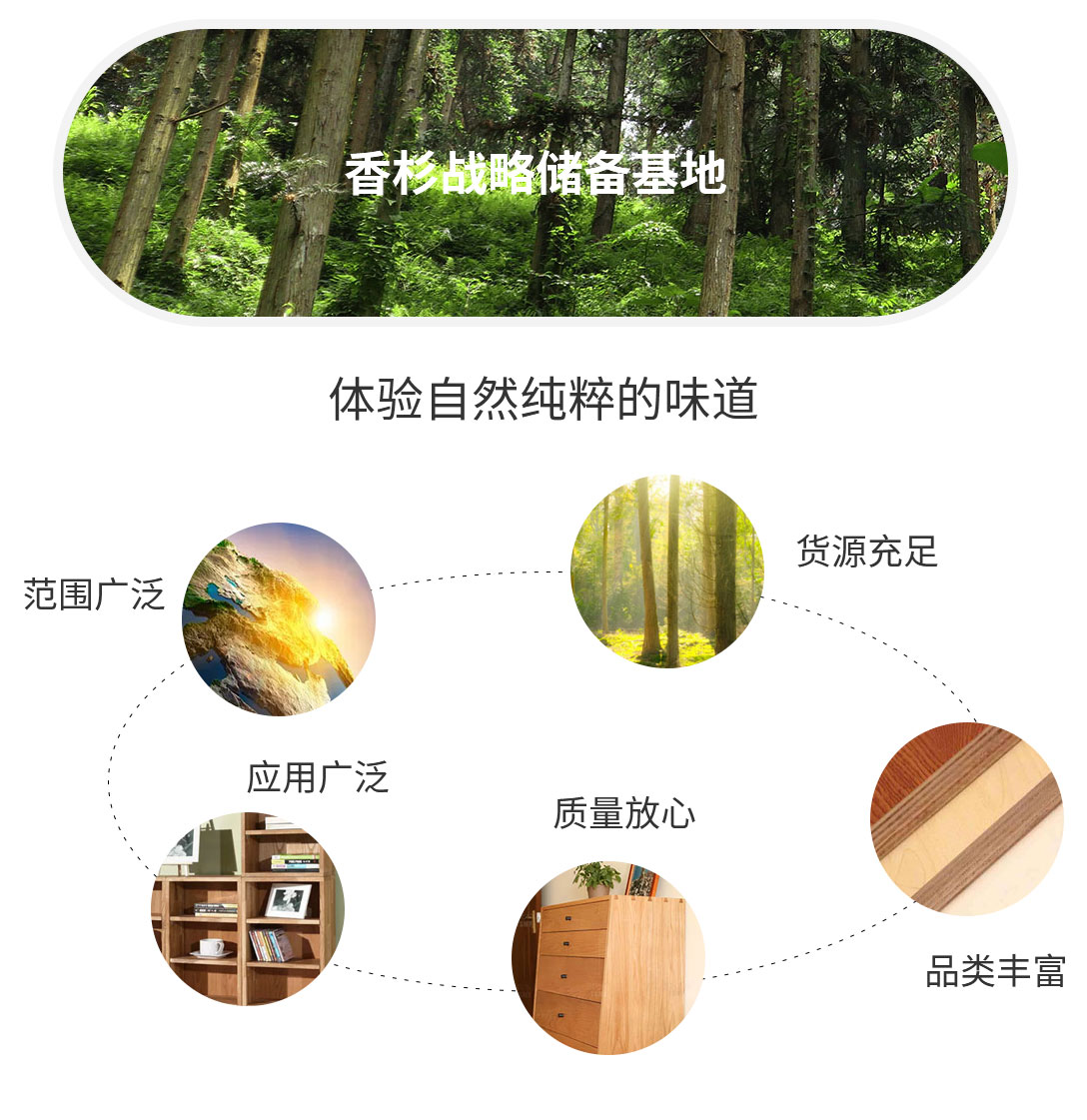 香杉戰(zhàn)略產(chǎn)業(yè)基地